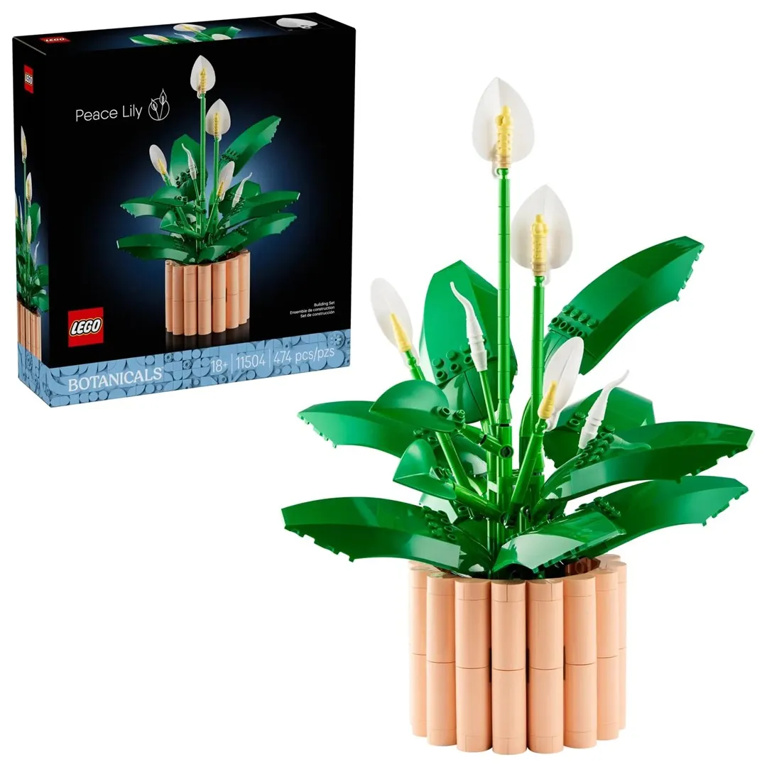 LEGO Botanical Collection 11504 - Skrzydłokwiat thumbnail 1