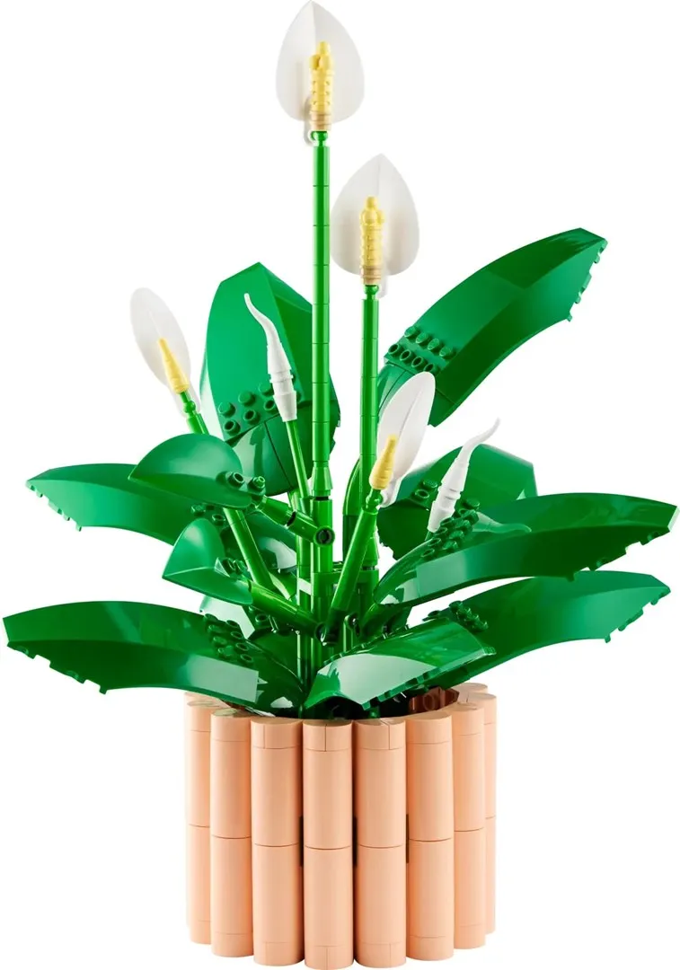 LEGO Botanical Collection 11504 - Skrzydłokwiat thumbnail 3
