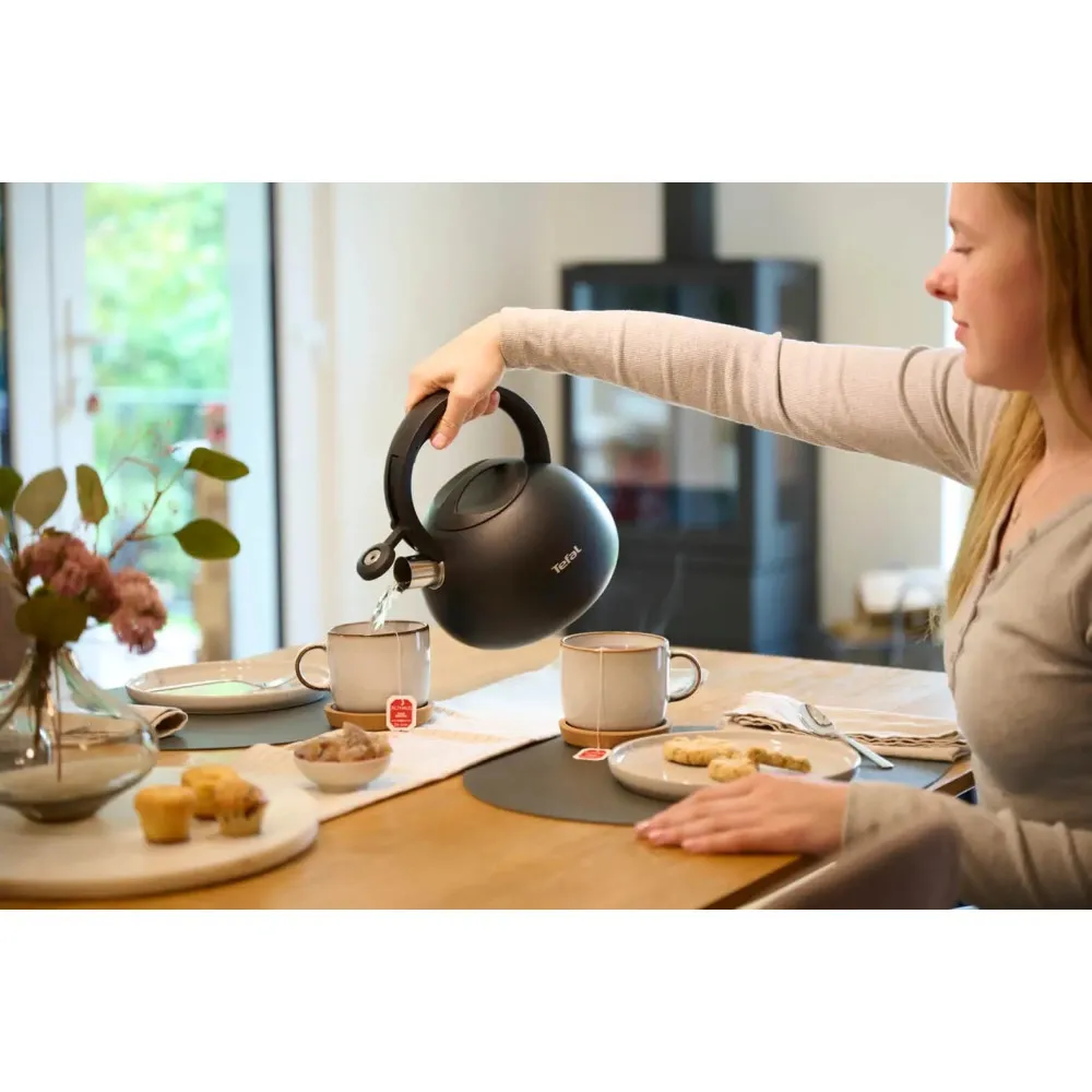 Czajnik nieelektryczny TEFAL N4180410 thumbnail 3
