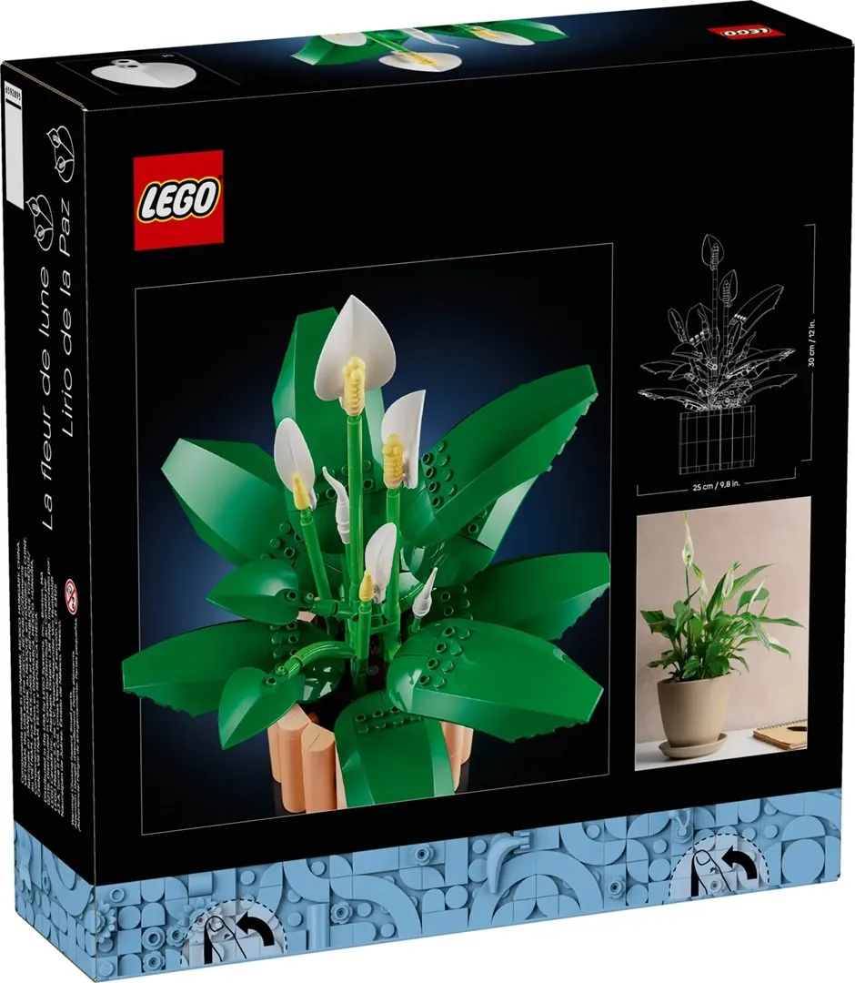 LEGO Botanical Collection 11504 - Skrzydłokwiat thumbnail 2