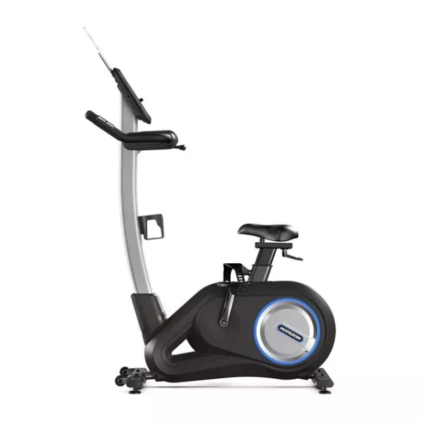 Rower treningowy HORIZON FITNESS Paros 3.0