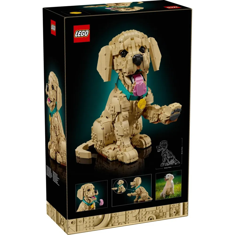 LEGO ICONS 11384 - Szczeniak golden retriever thumbnail 2