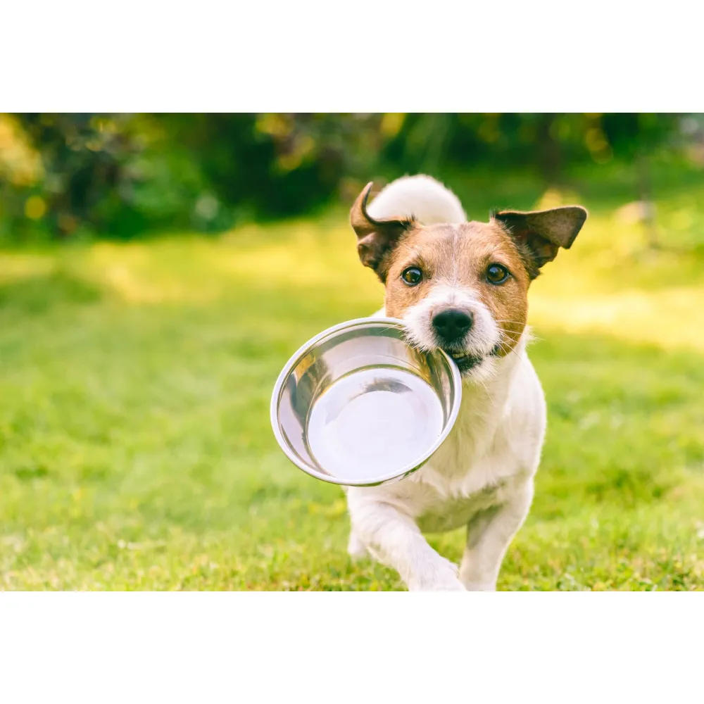 BRIT Care Mini Puppy Lamb - mokra karma dla psa - 12x85 g thumbnail 3