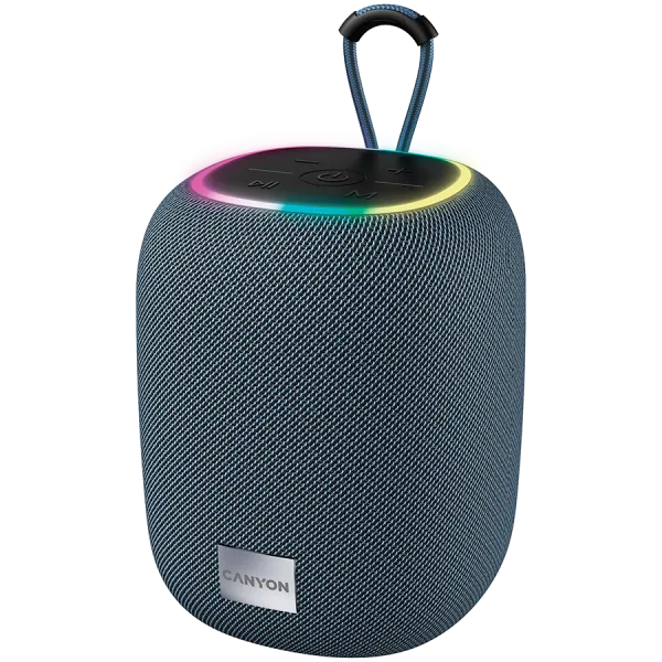 CANYON Głośnik Bluetooth BSP-8 10W Szary
