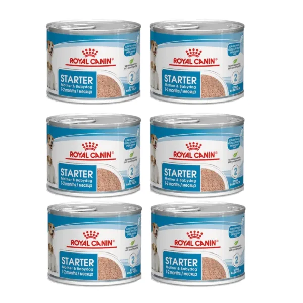 Royal Canin SHN Starter Mousse szczenięta 6x195g