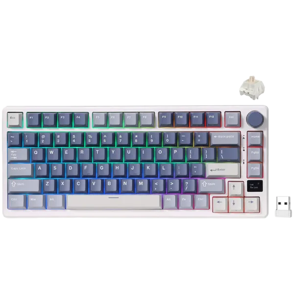 ROYAL KLUDGE RK-M75 Ocean Blue Gaming Keyboard Beige switch
