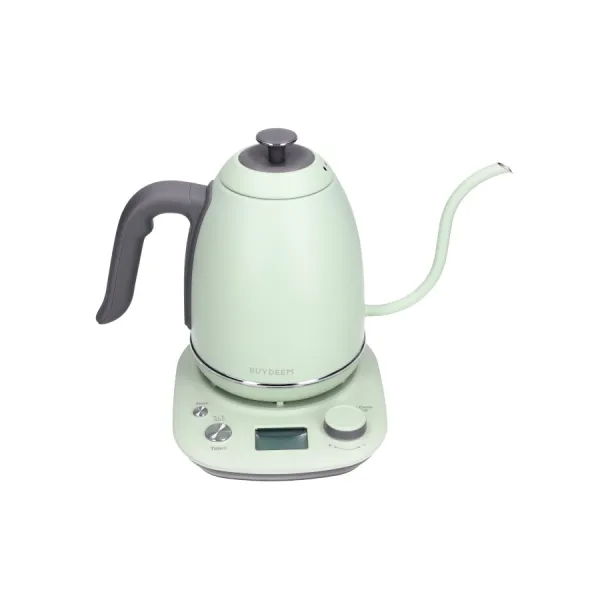 BUYDEEM Czajnik Elektryczny typu Gooseneck "Gęsia szyjka" z regulacją temperatury, model K821, kolor Cozy Greenish, EU
