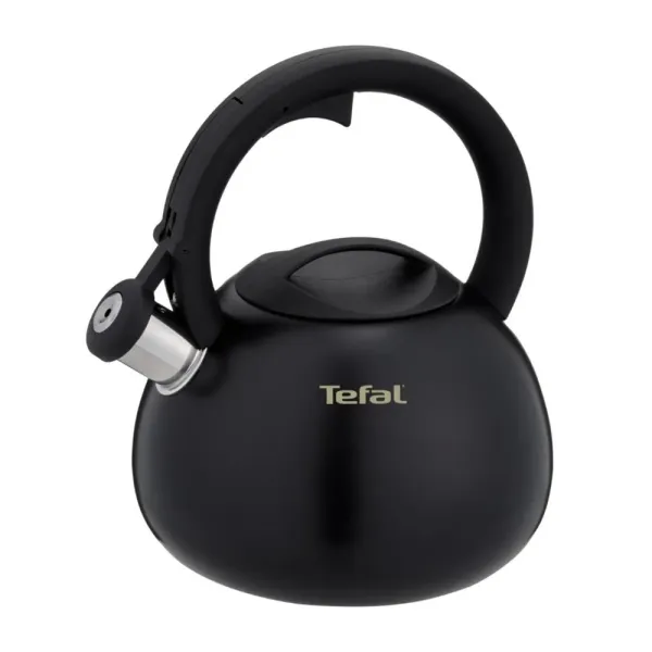 Czajnik nieelektryczny TEFAL N4180410